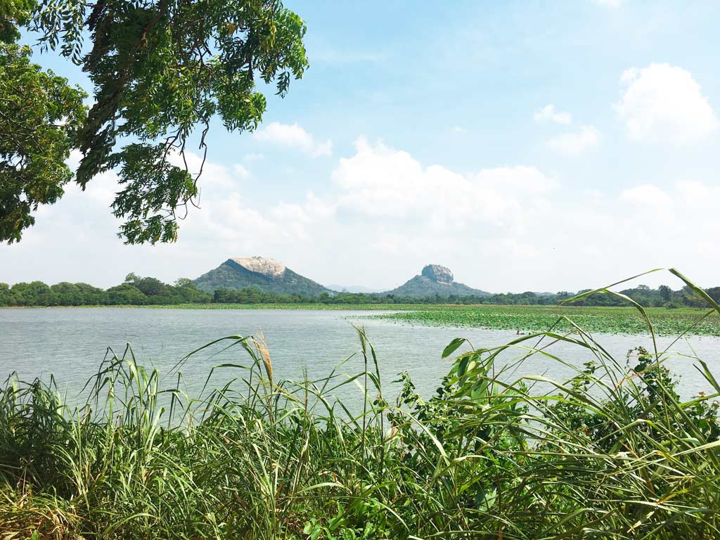 itinerario por sri Lanka que ruta hacer por el país en 21 días