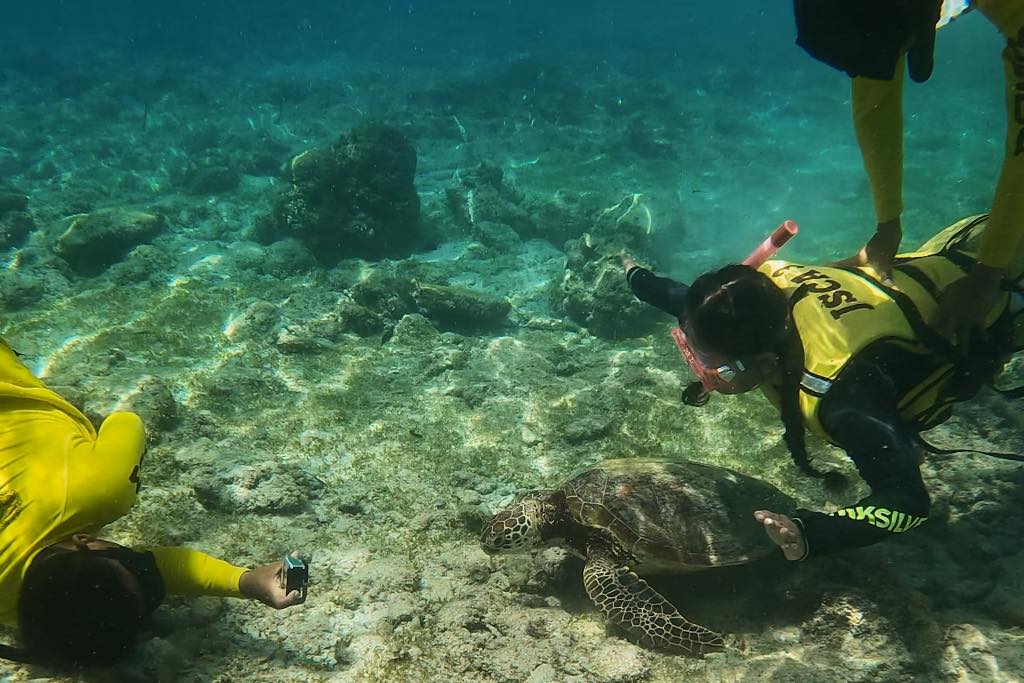 QUE HACER EN MOALBOAL CONSEJOS PARA VISITARLO