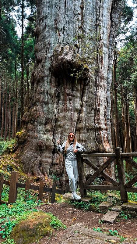 que ver en alishan taiwan