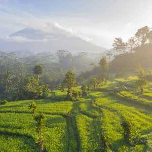 guia para viajar a indonesia